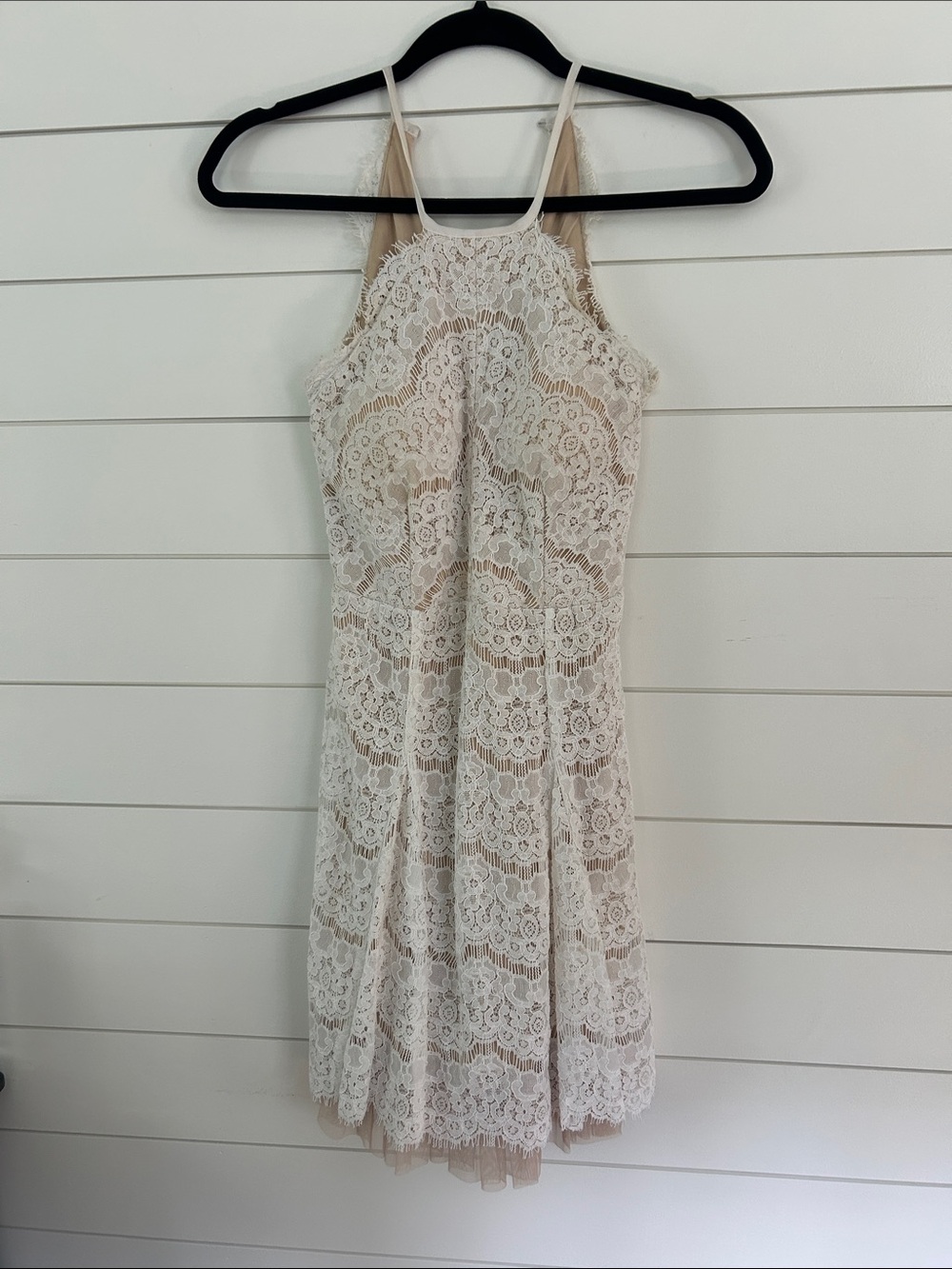Francesca's Collections Lace Mini Dress in Ivory and Nude